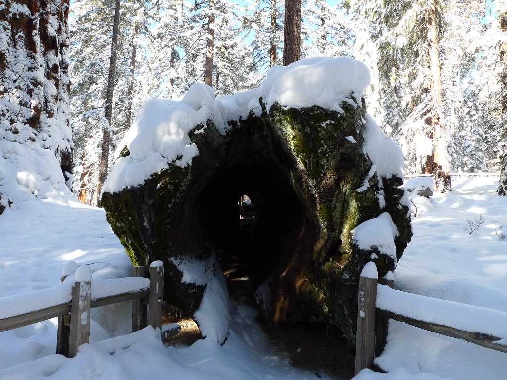 Christmas2010 198.JPG